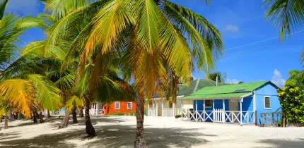 Photo d'une île tropicale