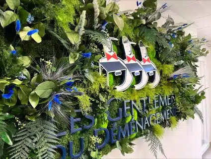 Siège Gentlemen du déménagement